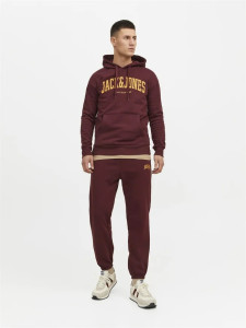 Штани Jack & Jones JPSTGORDON JJJOSH SWEAT PANTS LN 12254528-PortRoyale