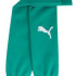 Гетри Puma teamGOAL Sleeve Sock зелений Чол 31-34 706028-05