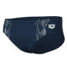 Плавки Arena REFLECTING SWIM BRIEFS 007338-701