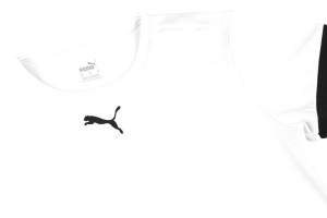 Футболка Puma teamRISE Jersey Jr білий Діт 704938-04