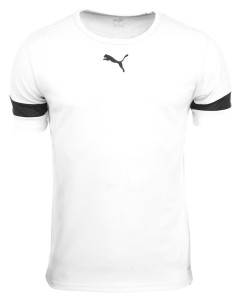 Футболка Puma teamRISE Jersey Jr білий Діт 704938-04