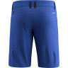 Шорти Salewa Agner DST Mns 013.012.0403