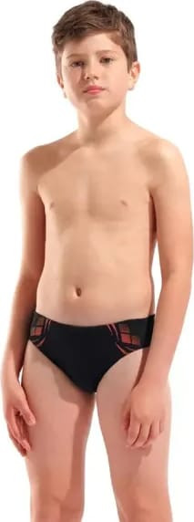 Плавки Arena POSEIDONIA SWIM BRIEFS 009009-504