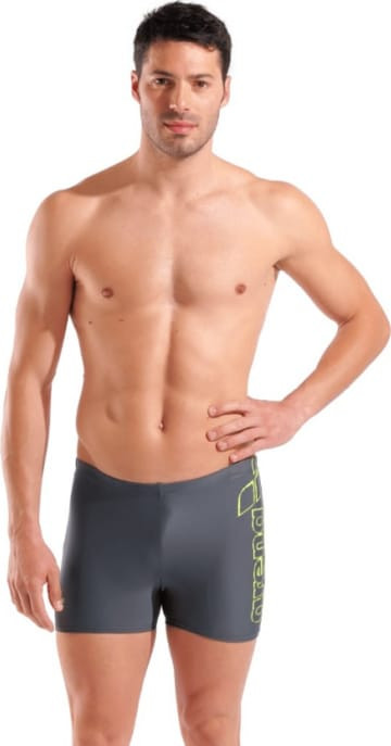 Шорти для плавання для овіків Arena SCRATCHY SWIM SHORT сірий 100 (010281-560) 010281-560