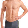 Шорти для плавання для овіків Arena SCRATCHY SWIM SHORT сірий 100 (010281-560) 010281-560