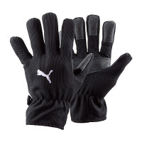 Рукавиці воротарські Puma Football Winter Field 040014-01
