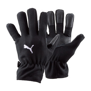 Рукавиці воротарські Puma Football Winter Field 040014-01