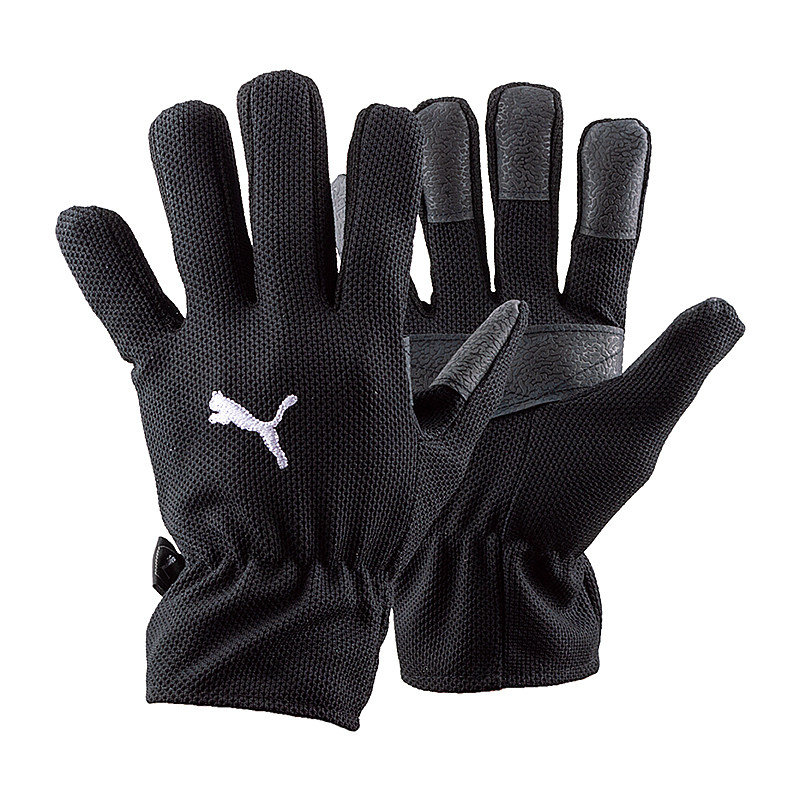 Рукавиці воротарські Puma Football Winter Field 040014-01