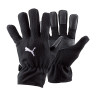 Рукавиці воротарські Puma Football Winter Field 040014-01