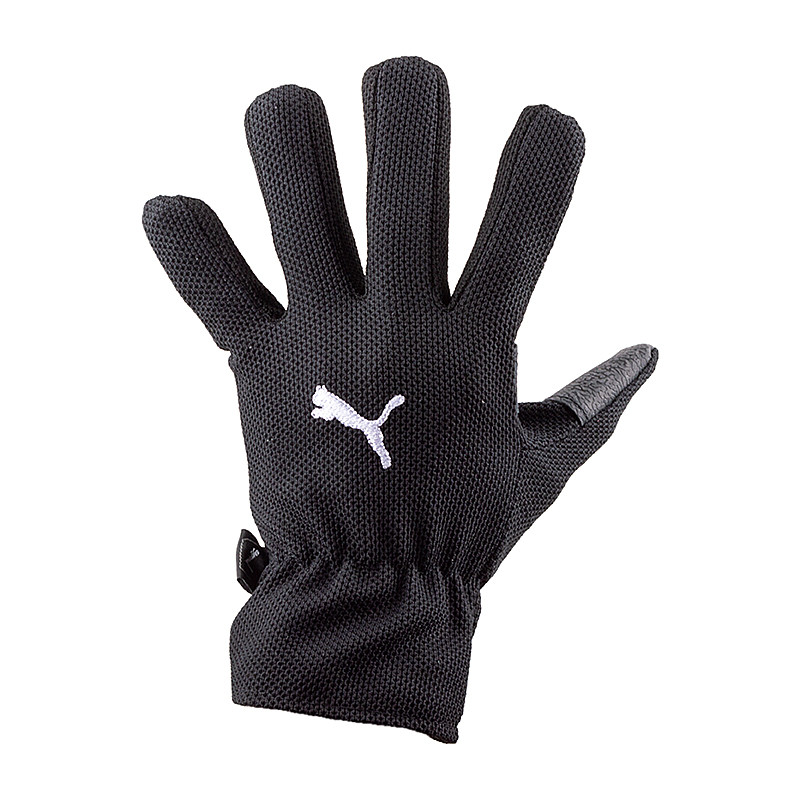 Рукавиці воротарські Puma Football Winter Field 040014-01