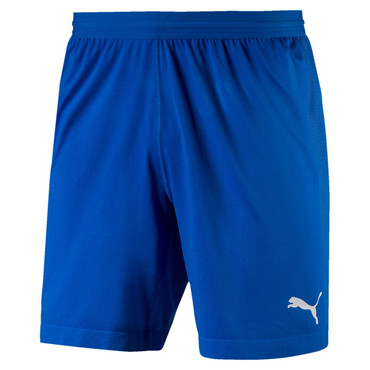 Шорти Puma FINAL EVOKNIT SHORTS 703449-02