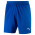 Шорти Puma FINAL EVOKNIT SHORTS 703449-02