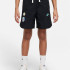 Шорти Nike Sportswear DO6541-010