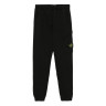 Штани Stone Island V0129 811561141 V0129