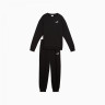 Костюм спортивний Puma Relaxed Sweat Suit TR cl 68507401