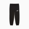 Штани дитячі ESS No. 1 Logo Sweatpants 68493401 Puma 122 Чорний 68493401