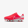 Бутси Nike JR LEGEND 10 CLUB FG/MG DV4352-800