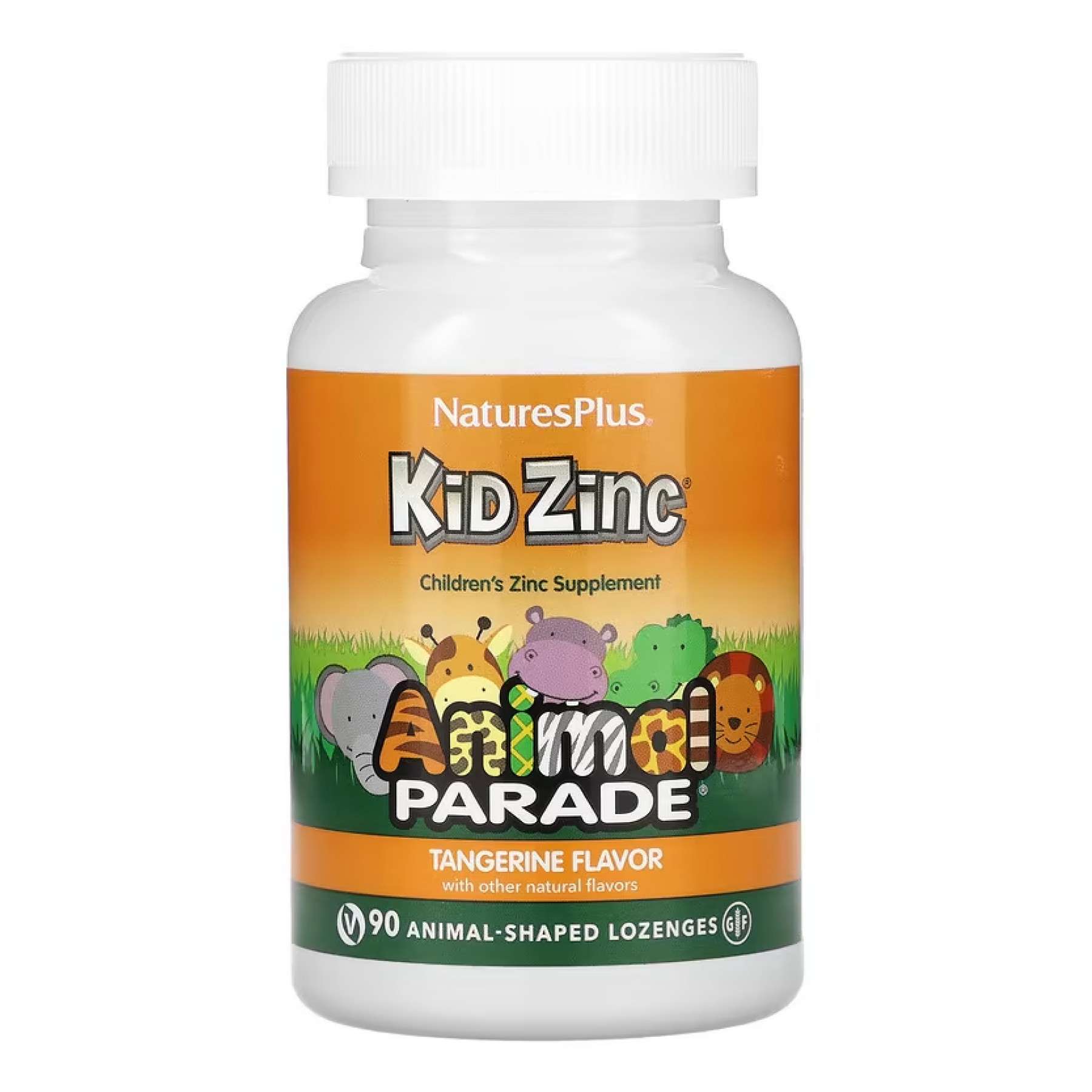 Порошок Kid Zinc - 90 Lozenges 2022-10-2856