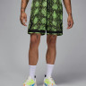 Шорти Jordan Dri-FIT Mesh Diamond HF9907-358