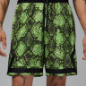 Шорти Jordan Dri-FIT Mesh Diamond HF9907-358