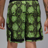 Шорти Jordan Dri-FIT Mesh Diamond HF9907-358