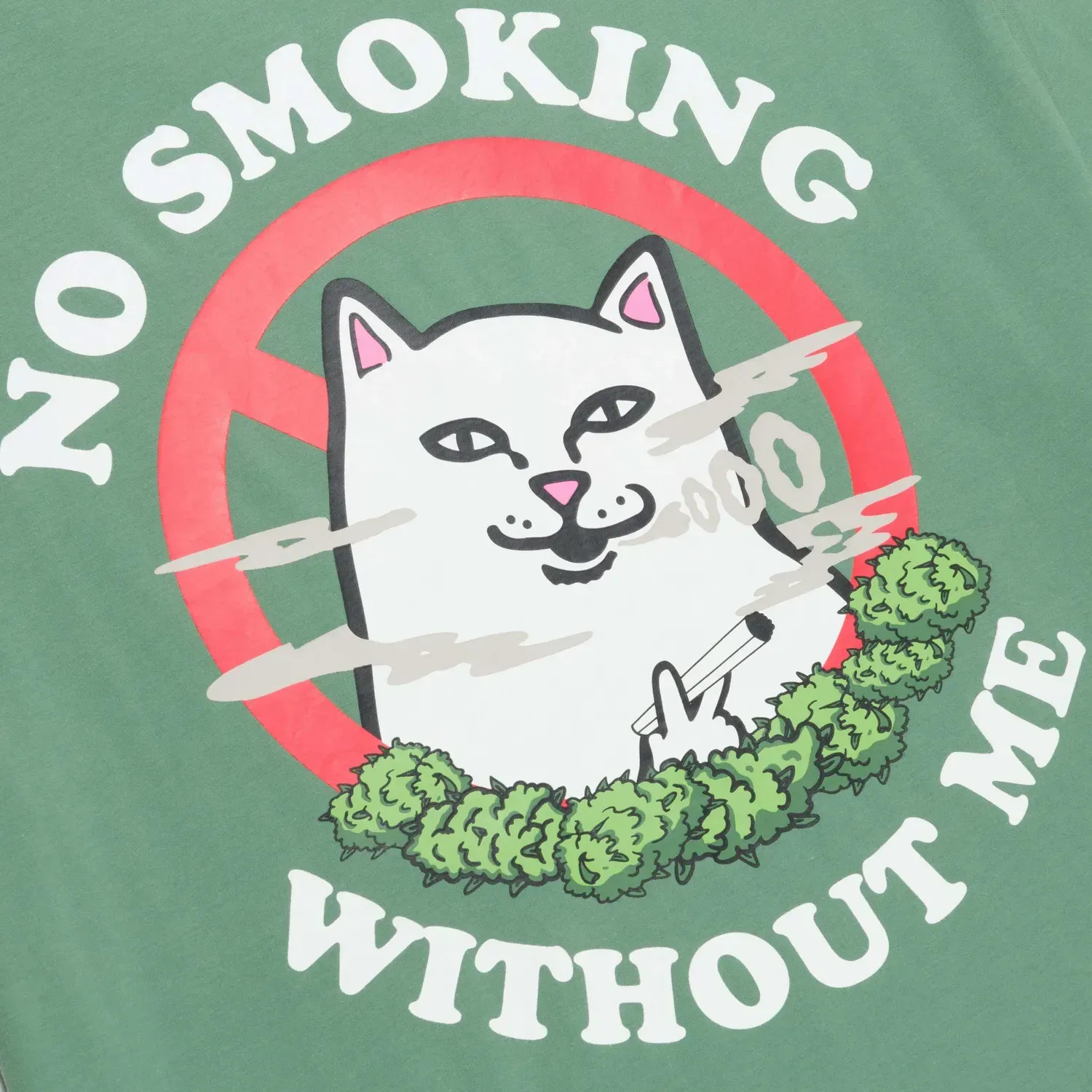 Футболка Ripndip NO SMOKING TEE RNDSPR25159