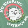 Футболка Ripndip NO SMOKING TEE RNDSPR25159