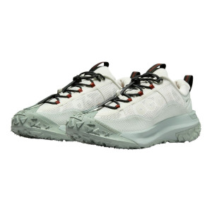 Кросівки Nike Acg Mountain Fly 2 Low Gore-Tex Grey HF6245-003