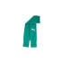 Гетри Puma teamGOAL Sleeve Sock зелений Чол 31-34 DT-706028-05, Цвет зелений, Размер (Европа) - 35-3 DT-706028-05 Гетри Puma teamGOAL Sleeve Sock зелений Чол 31-34 DT-706028-05, Цвет зелений, Размер (Европа) - 35-3 DT-706028-05