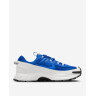Кросівки Nike Zoom Vomero 5 Roam Racer Blue FV2295-400