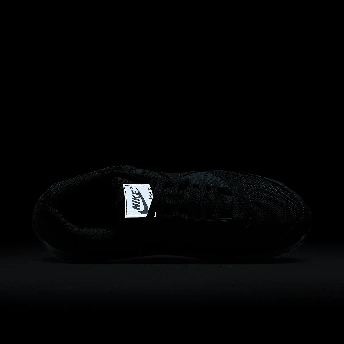 Кросівки чоловічі Nike Air Max 90 Blue HM0625-400