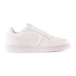 Кросівки Nike EBERNON LOW AQ1775-100