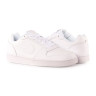 Кросівки Nike EBERNON LOW AQ1775-100