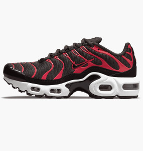 Кросівки Nike Air Max Plus Bred (2021) (GS) CD0609-200
