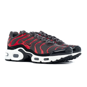 Кросівки Nike Air Max Plus Bred (2021) (GS) CD0609-200