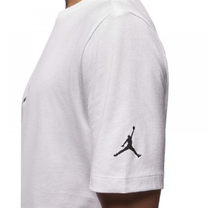 Футболка Air Jordan Brand Jfx Ss Crew2 Anti-Gravity Machines White FD7029-100