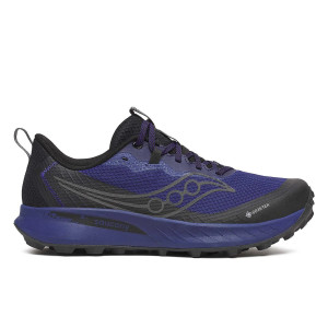 Кросівки для бігу Saucony PEREGRINE 15 GTX S20992-262