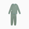 Костюм спортивний Relaxed Sweat Suit TR cl 68507430 Puma L Фісташковий 68507430