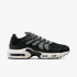 Кросівки NIKE AIR MAX TERRASCAPE PLUS BLACK DN4590-001