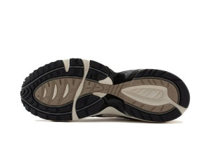 Кросівки ASICS GEL-1090V2 BEIGE/BROWN 1203A224-102