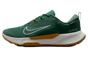 Кросівки Nike JUNIPER TRAIL 2 GTX V2 HM9734-301