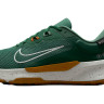 Кросівки Nike JUNIPER TRAIL 2 GTX V2 HM9734-301