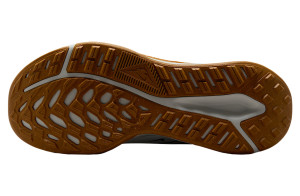 Кросівки Nike JUNIPER TRAIL 2 GTX V2 HM9734-301