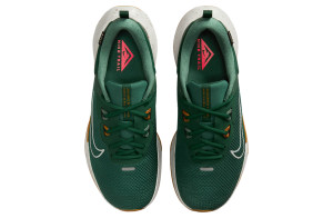 Кросівки Nike JUNIPER TRAIL 2 GTX V2 HM9734-301