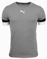 Футболка Puma teamRISE Jersey Jr сірий Діт 140 см 704938-13