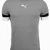 Футболка Puma teamRISE Jersey Jr сірий Діт 140 см 704938-13