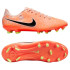 Бутси Nike LEGEND 10 ACADEMY FG/MG DZ3179-800