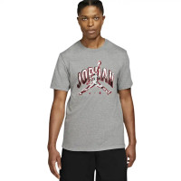 Футболка Jordan M J BRAND JDN AIR SS CREW CZ8383-091