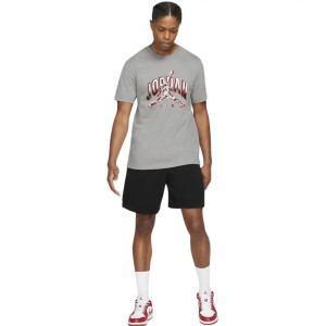 Футболка Jordan M J BRAND JDN AIR SS CREW CZ8383-091