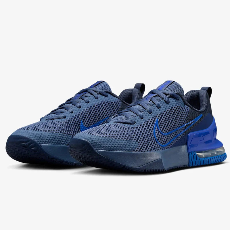 Кросівки NIKE AIR MAX ALPHA TRAINER 6 FQ1833-400